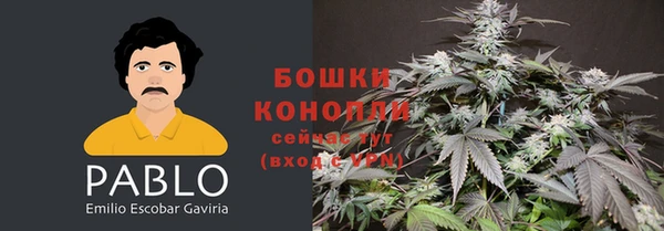 apvp Касимов