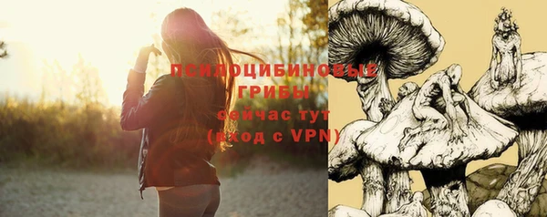 apvp Касимов
